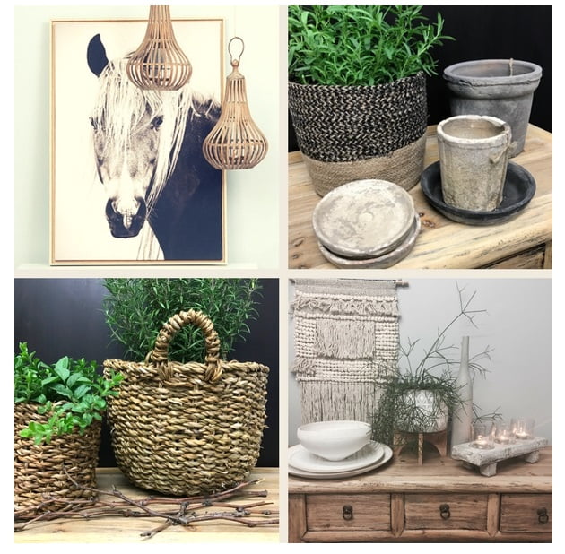 hygge home plant ideas